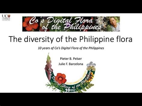 flora & ulysses gomovie|Co's Digital Flora of the Philippines.